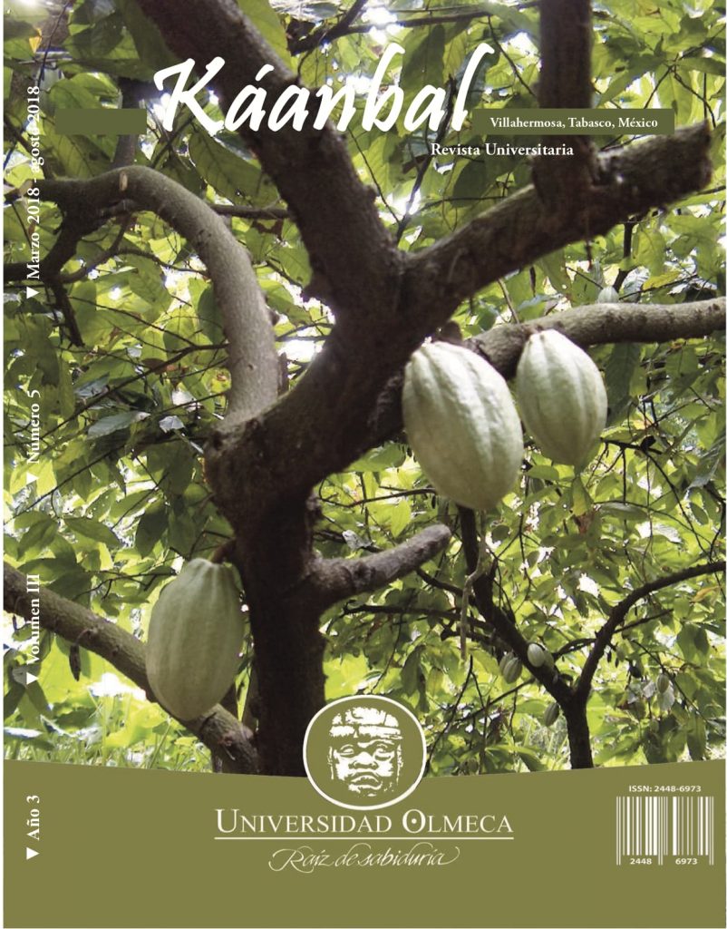 Revista Káanbal Año 3 Vol II Núm 5 marzo - agosto 2018