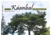 Káanbal, Año 11 Vol. I Núm. 20 septiembre 2025 – febrero 2026 Portada - Revista Káanbal Año 11 Vol. I Núm. 20 septiembre 2025 - febrero 2026