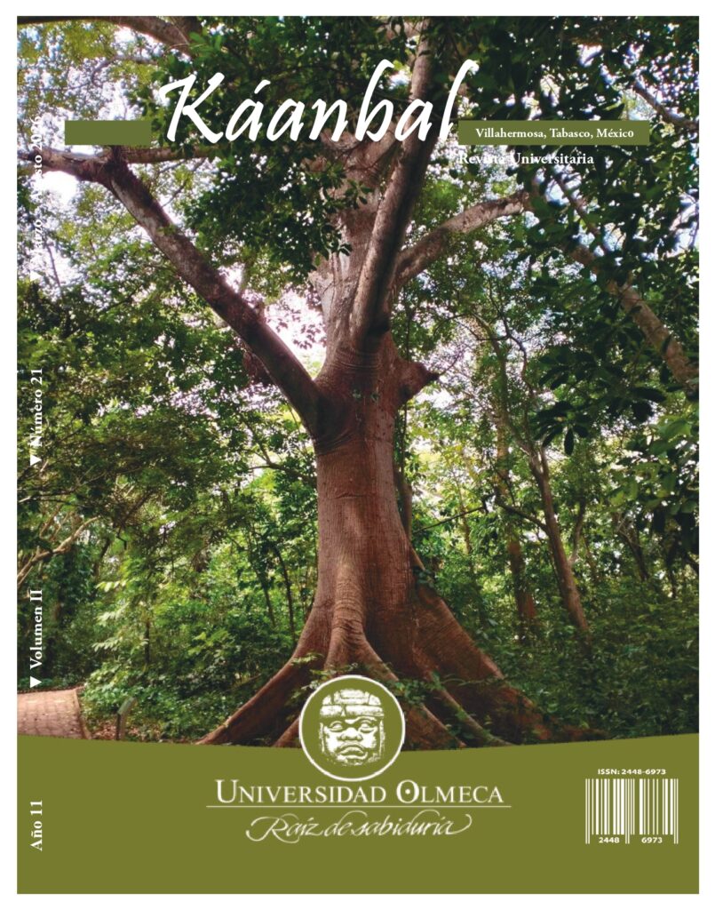 Portada - Revista Káanbal Año 11 Vol. II Núm. 21 marzo - agosto 2026